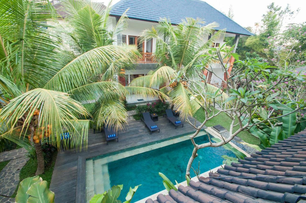Junior Suite Terrace