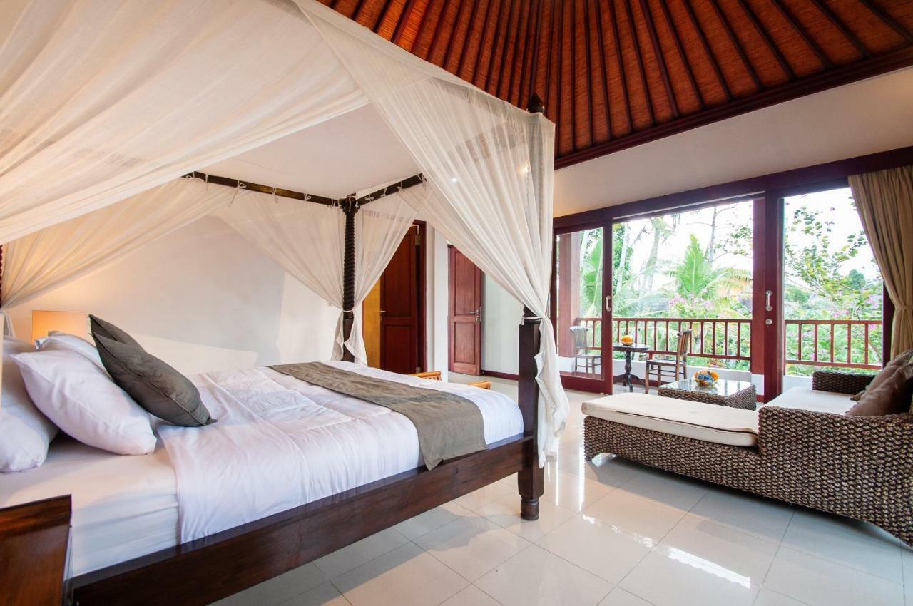 Junior Suite Terrace